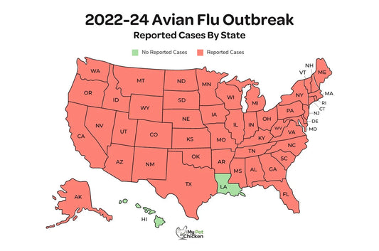 Preparing for the Avian Influenza: Understanding the Threat of Bird Flu and How to Protect Yourself