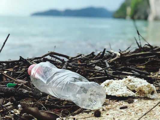 Ditch the Plastic: Why Switching to Reusable Water Bottles is Essential for the Planet