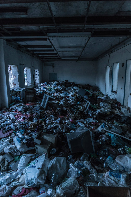 The Urgent Need to Address Air Pollution in Developing Countries