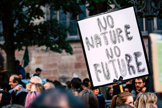 The Urgent Need for Action: Understanding the Far-reaching Consequences of Climate Change