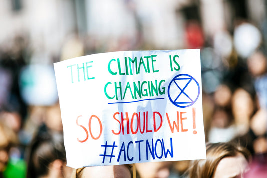 Climate Change: How We Can Make a Difference as Individuals