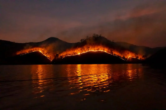 Unraveling the Perils: The Covert Impact of Wildfires on Air Quality