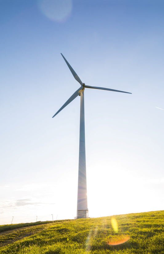 Sustainable Development Solutions: How to Create a Greener and More Efficient World
