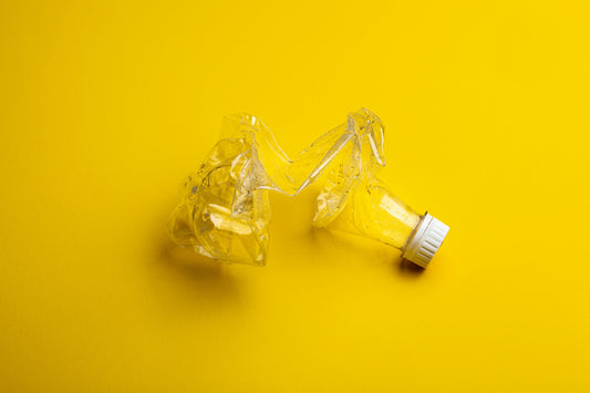 The Plastic Paradox: Reducing Single-Use Plastics in a Convenience-Driven World