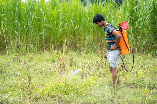 The Impact of Pesticides on Respiratory Health