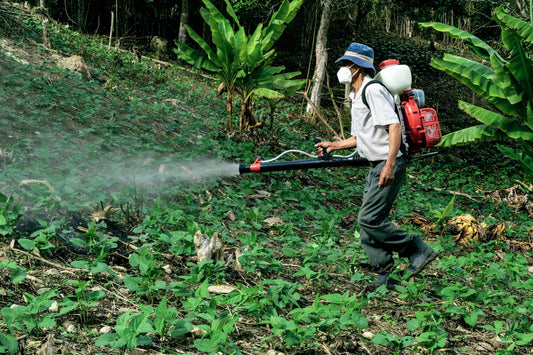 The Dark Side of Pesticides: How They're Destroying Our Crops